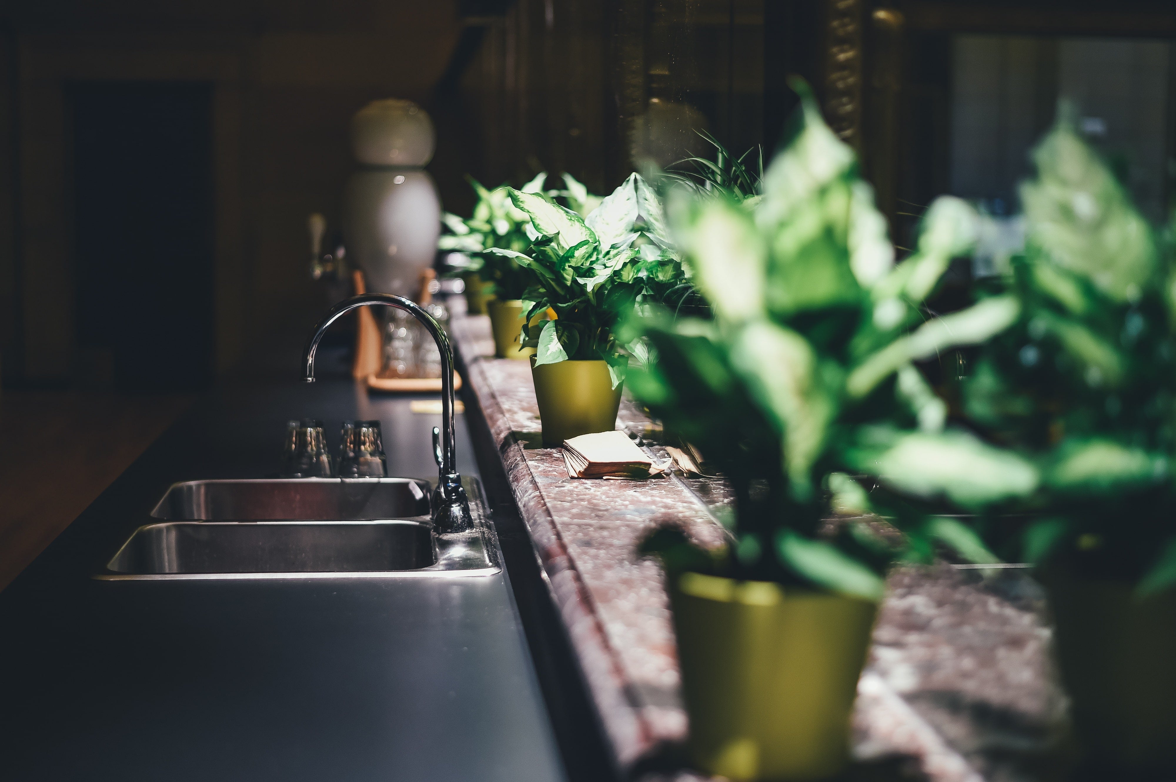 Kitchen counter with sink and potted plants